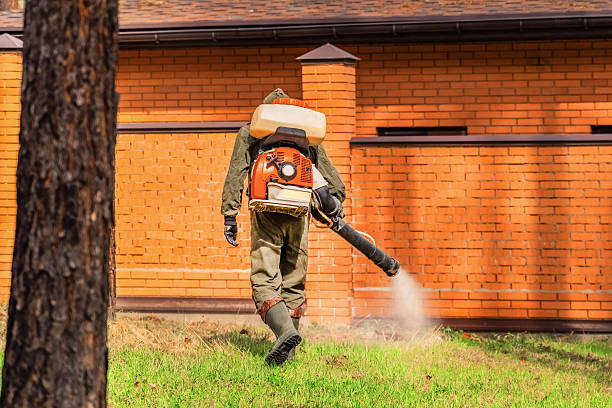 Trusted Rodent Control service in Trevose, PA - Nex Pest Control